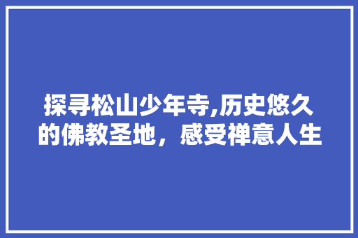 探寻松山少年寺,历史悠久的佛教圣地，感受禅意人生