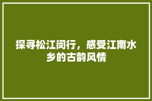 探寻松江闵行，感受江南水乡的古韵风情