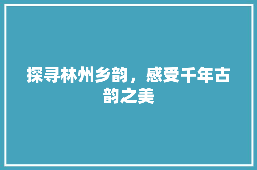 探寻林州乡韵，感受千年古韵之美  第1张