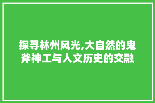 探寻林州风光,大自然的鬼斧神工与人文历史的交融