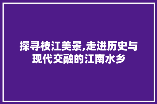 探寻枝江美景,走进历史与现代交融的江南水乡