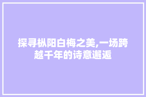 探寻枞阳白梅之美,一场跨越千年的诗意邂逅