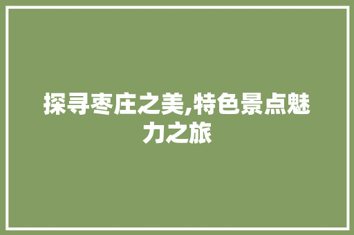 探寻枣庄之美,特色景点魅力之旅