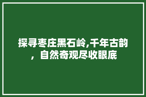 探寻枣庄黑石岭,千年古韵，自然奇观尽收眼底