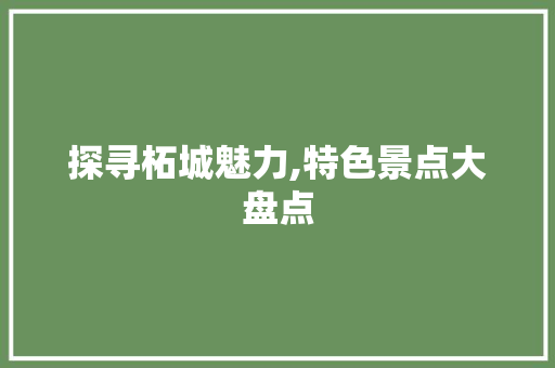 探寻柘城魅力,特色景点大盘点