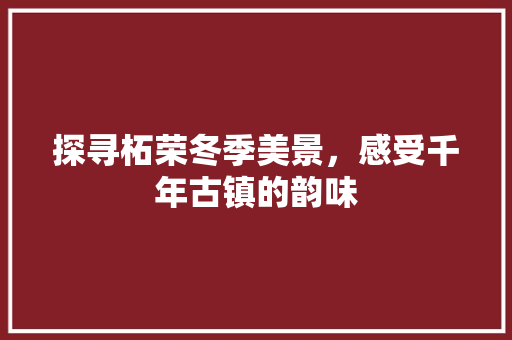 探寻柘荣冬季美景，感受千年古镇的韵味