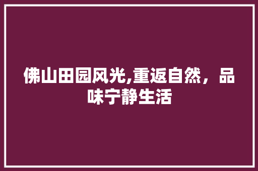 佛山田园风光,重返自然，品味宁静生活  第1张