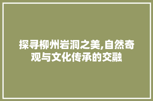 探寻柳州岩洞之美,自然奇观与文化传承的交融