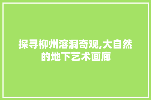 探寻柳州溶洞奇观,大自然的地下艺术画廊