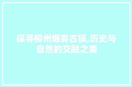 探寻柳州烟雾古镇,历史与自然的交融之美