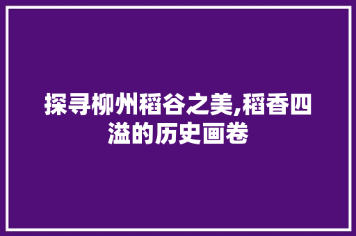 探寻柳州稻谷之美,稻香四溢的历史画卷