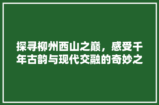 探寻柳州西山之巅，感受千年古韵与现代交融的奇妙之旅