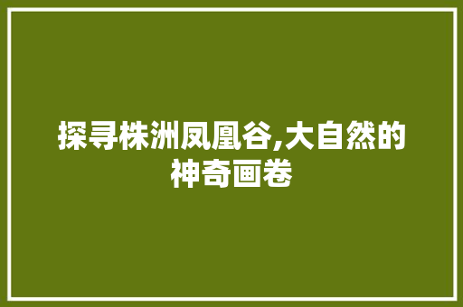 探寻株洲凤凰谷,大自然的神奇画卷