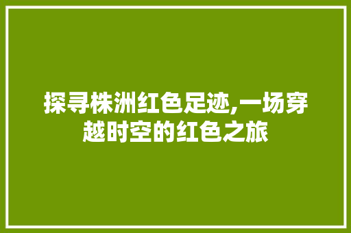 探寻株洲红色足迹,一场穿越时空的红色之旅