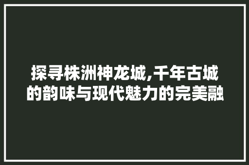 探寻株洲神龙城,千年古城的韵味与现代魅力的完美融合