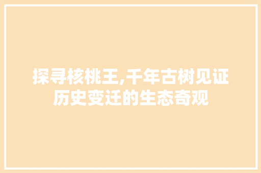 探寻核桃王,千年古树见证历史变迁的生态奇观