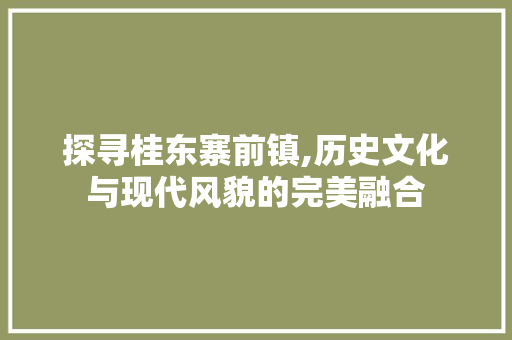 探寻桂东寨前镇,历史文化与现代风貌的完美融合