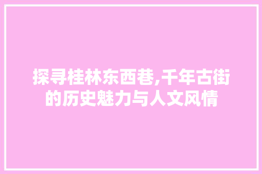 探寻桂林东西巷,千年古街的历史魅力与人文风情