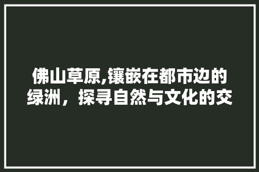 佛山草原,镶嵌在都市边的绿洲，探寻自然与文化的交融之旅  第1张