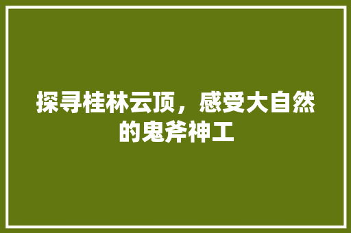 探寻桂林云顶，感受大自然的鬼斧神工