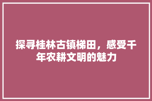 探寻桂林古镇梯田，感受千年农耕文明的魅力