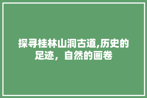 探寻桂林山洞古道,历史的足迹，自然的画卷