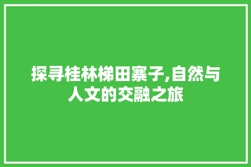 探寻桂林梯田寨子,自然与人文的交融之旅