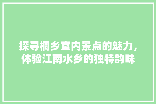 探寻桐乡室内景点的魅力，体验江南水乡的独特韵味