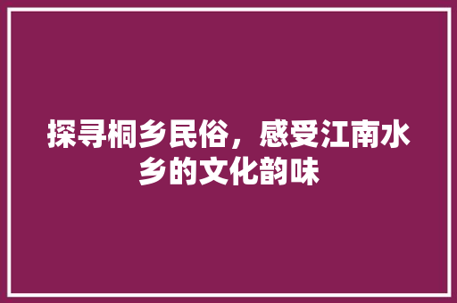 探寻桐乡民俗，感受江南水乡的文化韵味