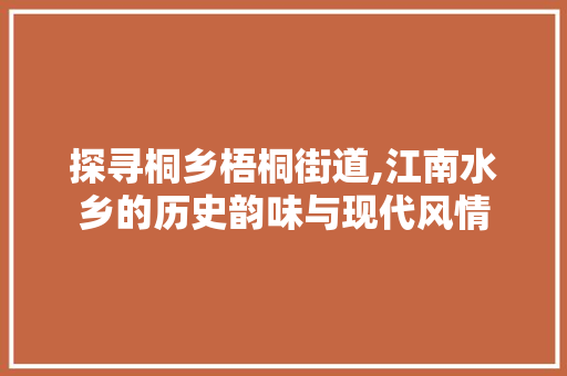 探寻桐乡梧桐街道,江南水乡的历史韵味与现代风情