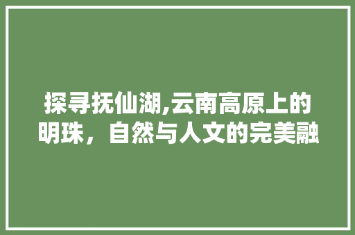 探寻抚仙湖,云南高原上的明珠，自然与人文的完美融合