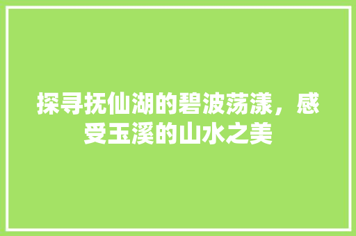 探寻抚仙湖的碧波荡漾，感受玉溪的山水之美