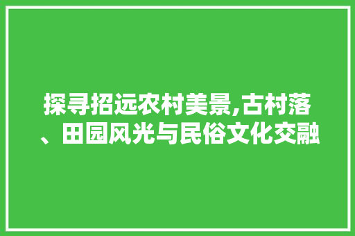 探寻招远农村美景,古村落、田园风光与民俗文化交融的世外桃源