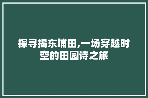 探寻揭东埔田,一场穿越时空的田园诗之旅