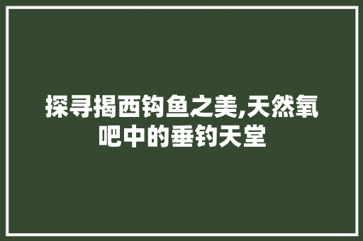 探寻揭西钩鱼之美,天然氧吧中的垂钓天堂