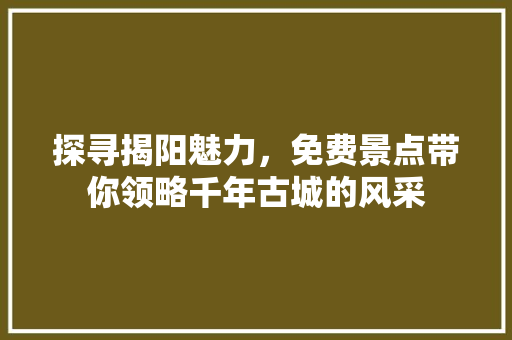 探寻揭阳魅力，免费景点带你领略千年古城的风采