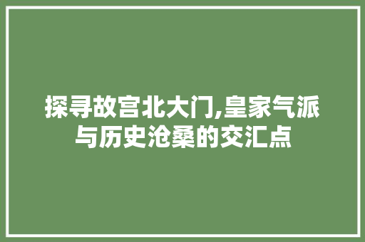 探寻故宫北大门,皇家气派与历史沧桑的交汇点