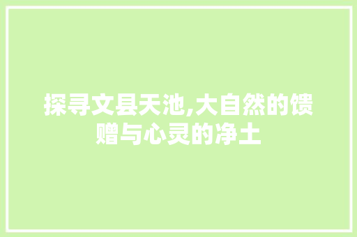 探寻文县天池,大自然的馈赠与心灵的净土