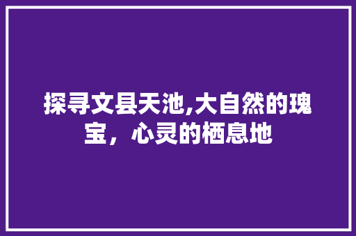 探寻文县天池,大自然的瑰宝，心灵的栖息地