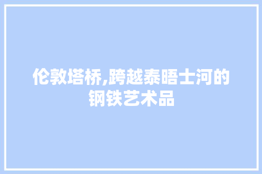 伦敦塔桥,跨越泰晤士河的钢铁艺术品  第1张