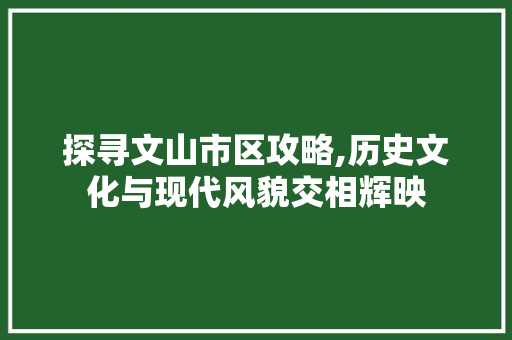 探寻文山市区攻略,历史文化与现代风貌交相辉映