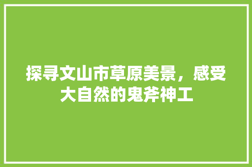 探寻文山市草原美景，感受大自然的鬼斧神工