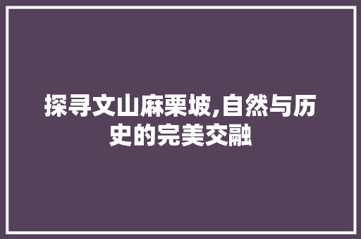 探寻文山麻栗坡,自然与历史的完美交融