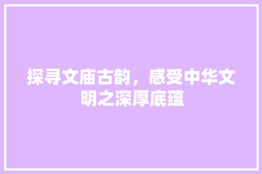 探寻文庙古韵，感受中华文明之深厚底蕴