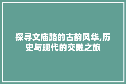 探寻文庙路的古韵风华,历史与现代的交融之旅