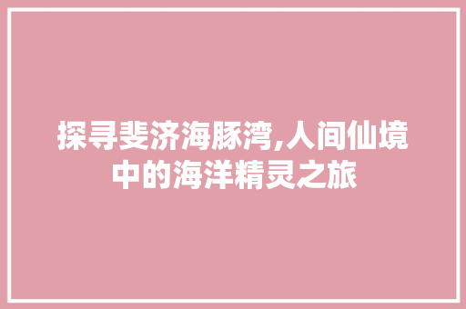 探寻斐济海豚湾,人间仙境中的海洋精灵之旅