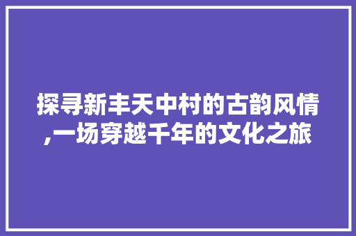 探寻新丰天中村的古韵风情,一场穿越千年的文化之旅