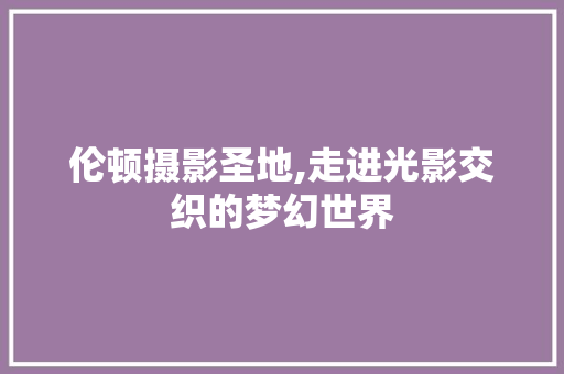 伦顿摄影圣地,走进光影交织的梦幻世界  第1张