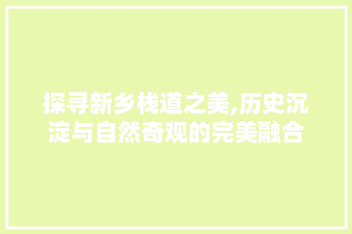 探寻新乡栈道之美,历史沉淀与自然奇观的完美融合