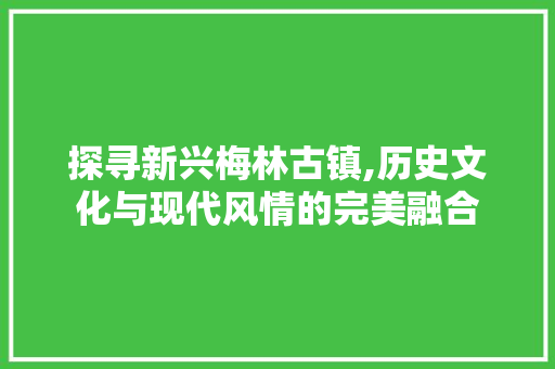 探寻新兴梅林古镇,历史文化与现代风情的完美融合